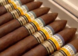 Cohiba Piramides