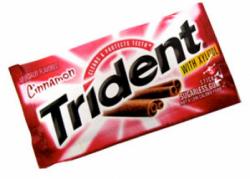 Trident Cinnamon